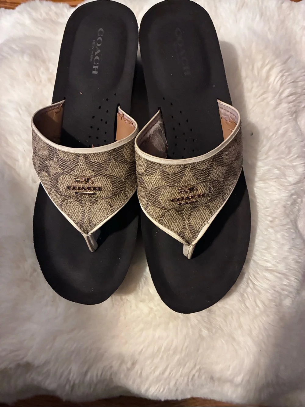 Coach Signature Canvas Thong Sandals in Brown and Black